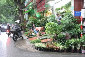 Khám Phá Đường Hoàng Hoa Thám - Nơi Giao Thoa Giữa Di Sản Văn Hóa và Cuộc Sống Hiện Đại